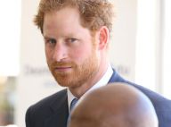 Prince Harry : Chic ou à la cool, il savoure sa visite en Afrique du Sud