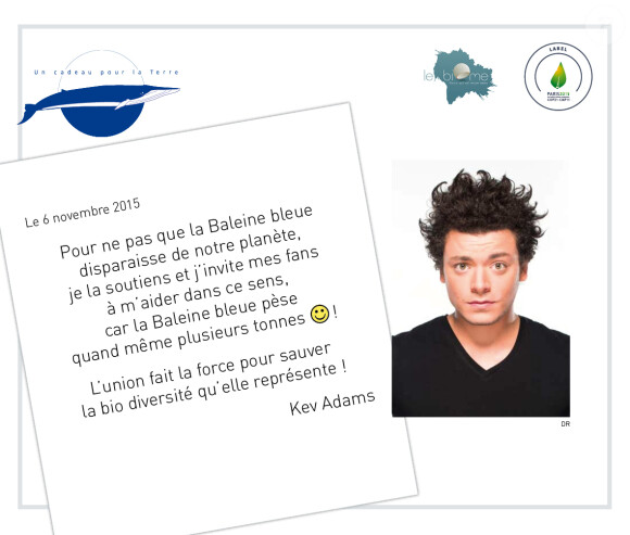 Kev Adams - En marge de la COP21 "La baleine bleue" s'installe à Paris et les artistes s'engagent pour soutenir ce projet de l'association "Un cadeau pour la terre" le 30 novembre 2015. Chaque personnalité a signé un engagement de soutient au projet "La baleine bleue".