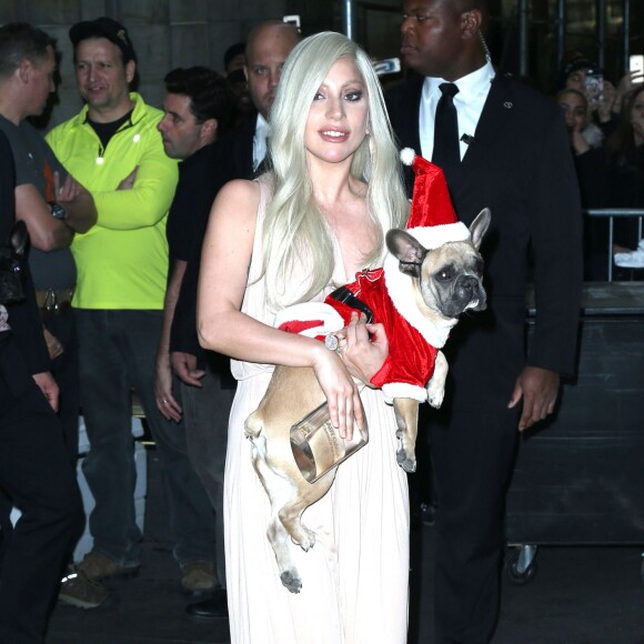 Lady Gaga et son fiancé Taylor Kinney à une soirée à New York avec un chien déguisé en père noël le 11 décembre 2015.