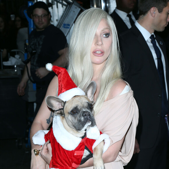 Lady Gaga et son fiancé Taylor Kinney à une soirée à New York avec un chien déguisé en père noël le 11 décembre 2015.