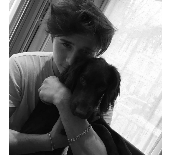 Brooklyn Beckham et Olive, le chien de la famille/ photo postée sur Instagram, le 14 décembre 2015.