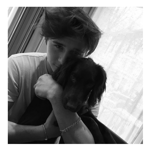 Brooklyn Beckham et Olive, le chien de la famille/ photo postée sur Instagram, le 14 décembre 2015.