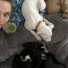 Miley Cyrus a publié une photo avec ses chiens sur sa page Instagram au mois de novembre 2015.