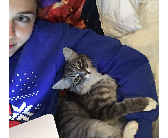 Miley Cyrus a publié une photo avec l'un de ses chats sur sa page Instagram au mois de décembre 2015.