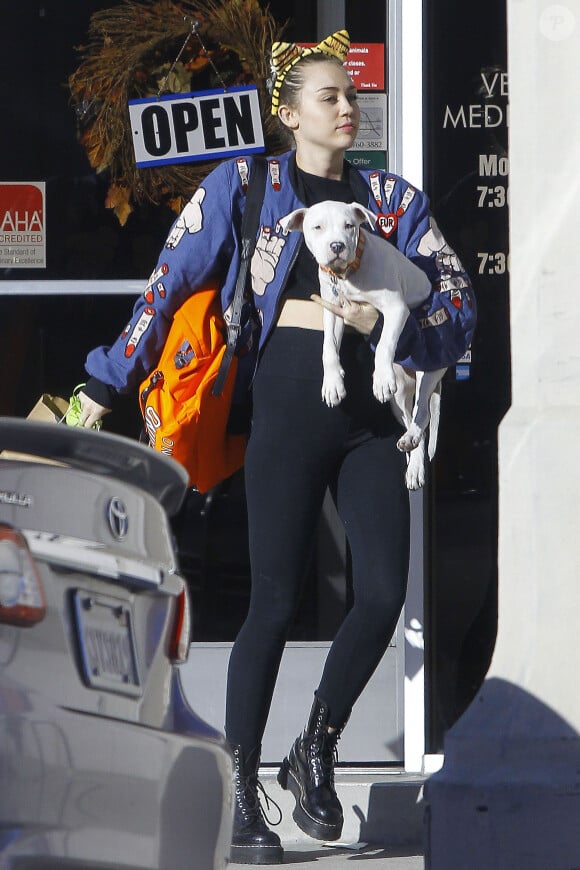 Exclusif - Miley Cyrus à la sortie d'un cabinet vétérinaire avec son chien à Studio City, le 10 novembre 2015