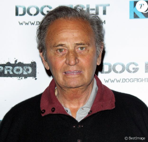 Roger Hanin - Première du film "Dogfight" à Paris. Le 22 juin 2009.