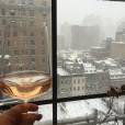 Drew Barrymore s'est offert un verre de vin en regardant la neige, le 23 janvier 2016