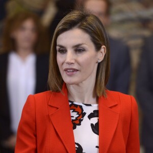 La reine Letizia d'Espagne lors d'une audience au Palais royal Zarzuela à Madrid. Le 26 janvier 2016