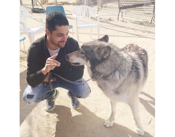 Demi Lovato passe la journée au refuge de Wolf Moutains pour le 36e anniversaire de son amoureux Wilmer Valderrama. Photo publiée sur Instagram, le 31 janvier 2016.