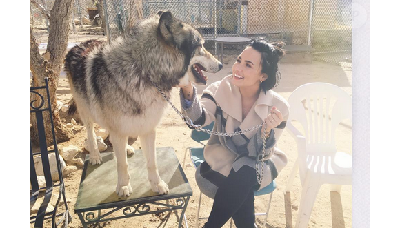Demi Lovato et sa demi-soeur Madison de la Garza passent la journée au refuge de Wolf Moutains pour le 36e anniversaire de son amoureux Wilmer Valderrama. Photo publiée sur Instagram, le 31 janvier 2016.