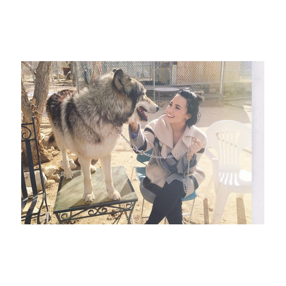Demi Lovato et sa demi-soeur Madison de la Garza passent la journée au refuge de Wolf Moutains pour le 36e anniversaire de son amoureux Wilmer Valderrama. Photo publiée sur Instagram, le 31 janvier 2016.