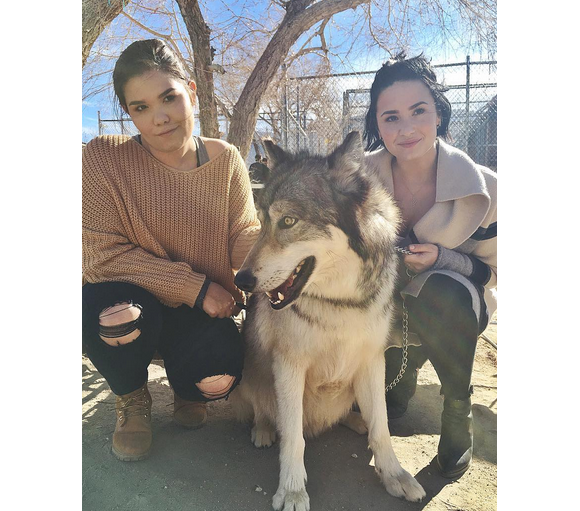 Demi Lovato et sa demi-soeur Madison de la Garza passent la journée au refuge de Wolf Moutains pour le 36e anniversaire de l'acteur Wilmer Valderrama qui fréquente la popstar depuis six ans. Photo publiée sur Instagram, le 31 janvier 2016.