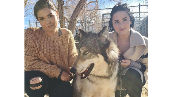 Demi Lovato sur le territoire des loups pour l'anniversaire de Wilmer Valderrama