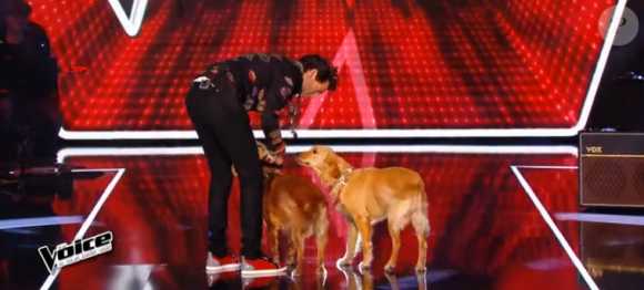 Miak ramène ses deux chiens sur le plateau dans The Voice 5, sur TF1, samedi 12 mars 2016
