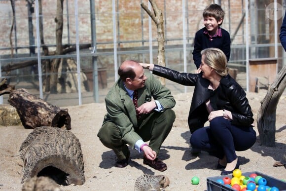 Le prince Edward, parrain de la Société zoologique de Bristol, et son épouse la comtesse Sophie de Wessex profitaient le 14 avril 2016 d'une inauguration au zoo de Bristol pour le visiter avec leurs enfants Lady Louise, 12 ans, et James, vicomte Severn, 8 ans.