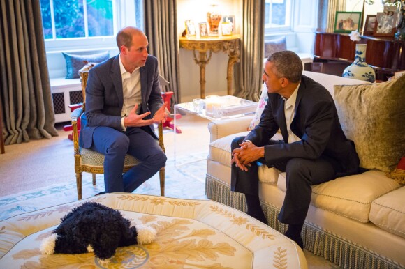 Le prince William et Barack Obama en pleine conversation. Le duc et la duchesse de Cambridge et le prince Harry accueillaient le 22 avril 2016 chez eux, au palais de Kensington, le président Barack Obama et sa femme Michelle pour un dîner privé. L'occasion pour le chef d'Etat américain de rencontrer le prince George de Cambridge.