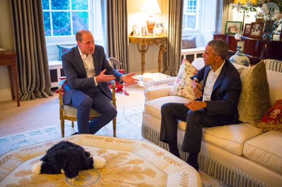 Le prince William et Barack Obama en pleine conversation. Le duc et la duchesse de Cambridge et le prince Harry accueillaient le 22 avril 2016 chez eux, au palais de Kensington, le président Barack Obama et sa femme Michelle pour un dîner privé. L'occasion pour le chef d'Etat américain de rencontrer le prince George de Cambridge.