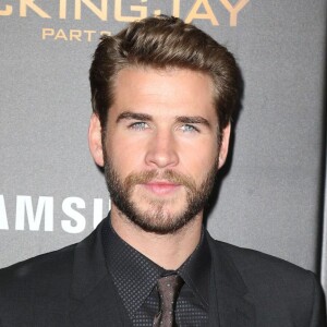 Liam Hemsworth à la première de 'The Hunger Games: Mockingjay Part 2' à New York, le 18 novembre 2015