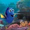 Bande-annonce du film Le Monde de Nemo, en salles le 22 juin 2016