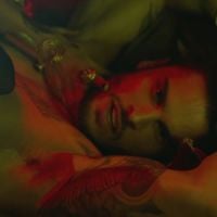 Baptiste Giabiconi : Objet de désir sexuel pour "Love to Love You Baby"