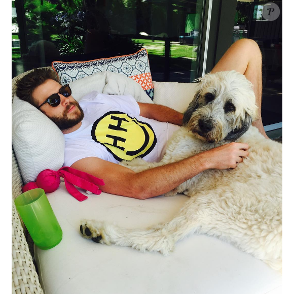 Miley Cyrus a publié une photo de son chéri Liam Hemsworth sur les réseaux sociaux, le 17 juillet 2016