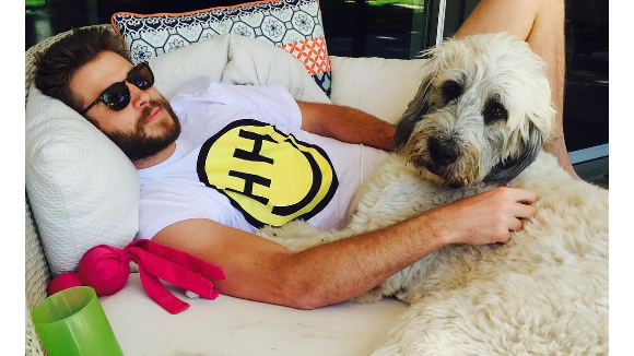 Miley Cyrus et Liam Hemsworth en couple : La popstar officialise sur Instagram