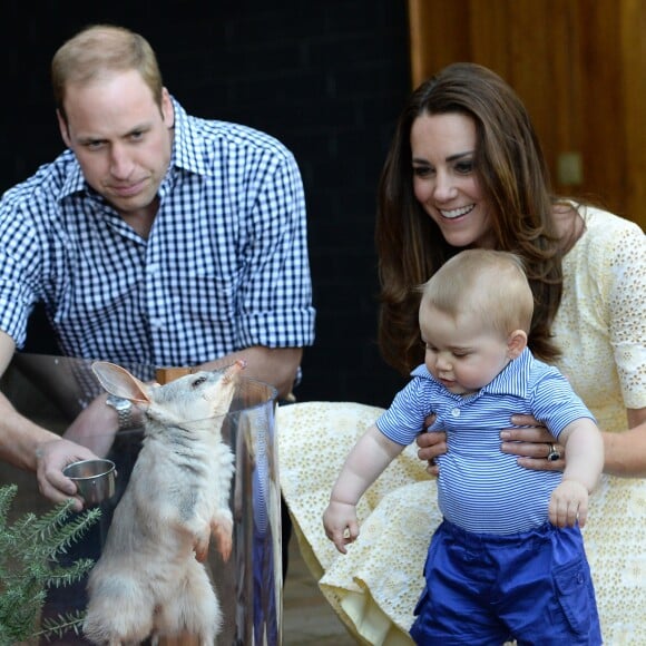 Le prince George de Cambridge avec ses parents le prince William et la duchesse Catherine au zoo de Taronga à Sydney le 20 avril 2014 lors de leur tournée officielle en Australie.