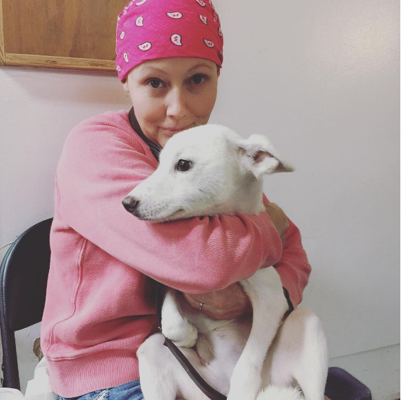 Shannen Doherty se bat contre un cancer du sein. Photo publiée sur sa page Instagram en septembre 2016