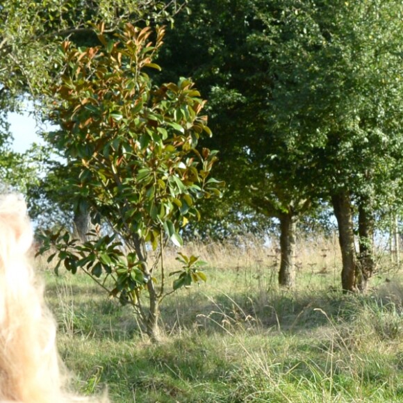 Exclusif - Mylène Demongeot a fêté son 81ème anniversaire en compagnie de Henry-Jean Servat, de la chanteuse Irène Roussel et de ses amis du Refuge de l'Arche, dans sa ferme en Mayenne, à Châtelain. Le 1er octobre 2016.