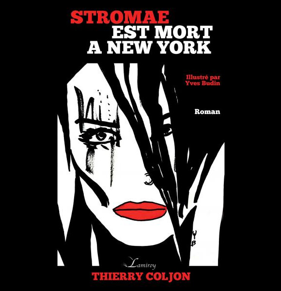 Couverture du roman "Stromae est mort à New York", sorti le 1er octobre 2016 aux éditions Lameroy.
