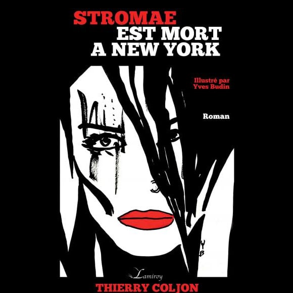 Couverture du roman "Stromae est mort à New York", sorti le 1er octobre 2016 aux éditions Lameroy.