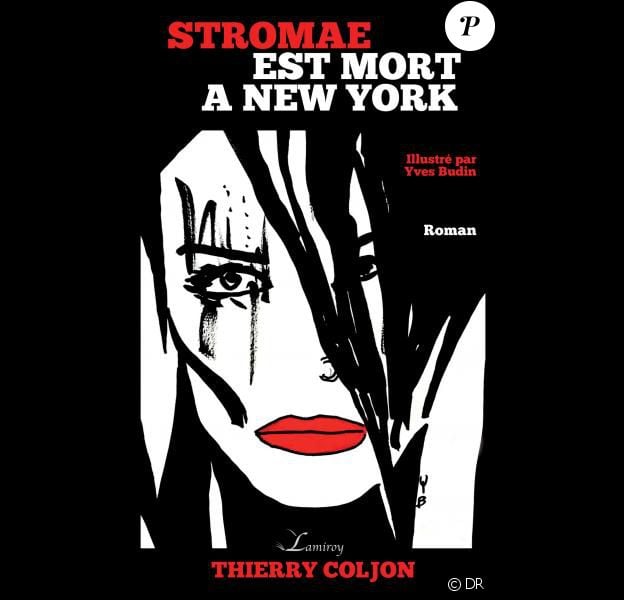 Couverture du roman "Stromae est mort à New York", sorti le 1er octobre 2016 aux éditions Lameroy.