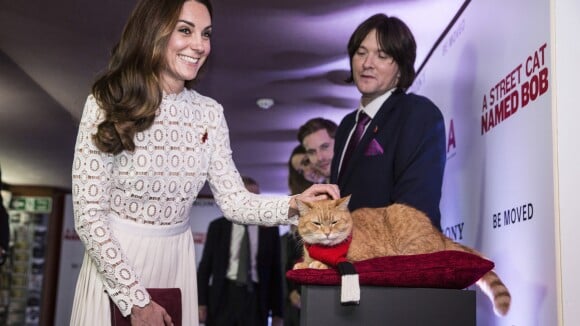 Kate Middleton sublime et les jambes à l'air, Bob le chat se laisse amadouer