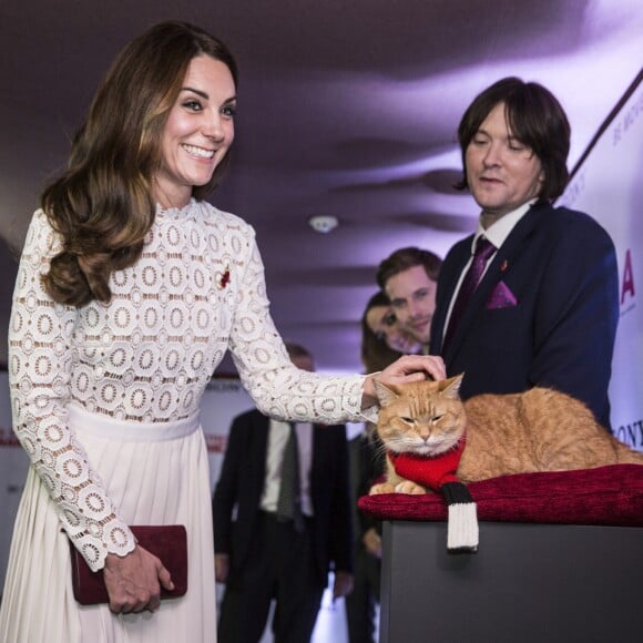 Kate Middleton, duchesse de Cambridge, assistait en sa qualité de marraine de l'association Action on Addiction à l'avant-première du film A Street Cat Named Bob au cinéma Curzon dans Mayfair, à Londres, le 3 novembre 2016 et a rencontré James Bowen et le chat Bob, dont le film raconte l'histoire. 