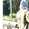 Djibril Cissé partage un tendre moment avec son fils Gabriel au zoo.