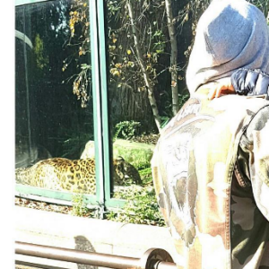 Djibril Cissé partage un tendre moment avec son fils Gabriel au zoo.