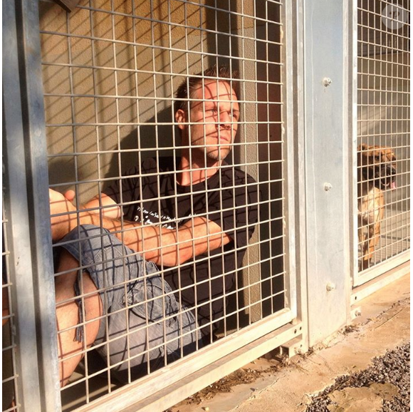 Rémi Gaillard est resté 4 jours enfermé dans une cage de la SPA de Montpellier pour susciter l'adoption des animaux abandonnés et des dons. Il a récolté 200 000 euros. Photo publiée sur Instagram en novembre 2016
