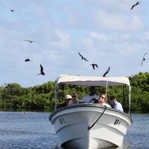 Le prince Harry visite les mangroves à La Barbade, pour voir les oiseaux frégatidés, à l'occasion de son voyage de 15 jours dans les Caraïbes. Le 22 novembre 2016  Prince Harry takes a boat tour through mangroves on the island of Barbuda to see one of the largest colonies of frigate birds in the word, as he continues his tour of the Caribbean.22/11/2016 - La Barbade