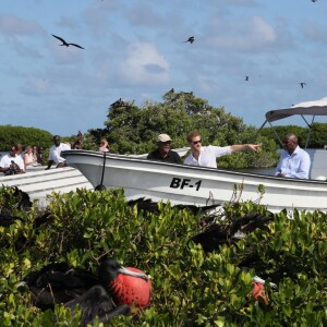 Le prince Harry visite les mangroves à La Barbade, pour voir les oiseaux frégatidés, à l'occasion de son voyage de 15 jours dans les Caraïbes. Le 22 novembre 2016  Prince Harry takes a boat tour through mangroves on the island of Barbuda to see one of the largest colonies of frigate birds in the word, as he continues his tour of the Caribbean.22/11/2016 - La Barbade