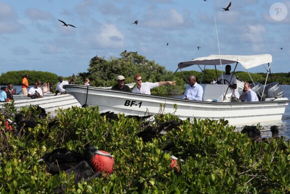 Le prince Harry visite les mangroves à La Barbade, pour voir les oiseaux frégatidés, à l'occasion de son voyage de 15 jours dans les Caraïbes. Le 22 novembre 2016  Prince Harry takes a boat tour through mangroves on the island of Barbuda to see one of the largest colonies of frigate birds in the word, as he continues his tour of the Caribbean.22/11/2016 - La Barbade