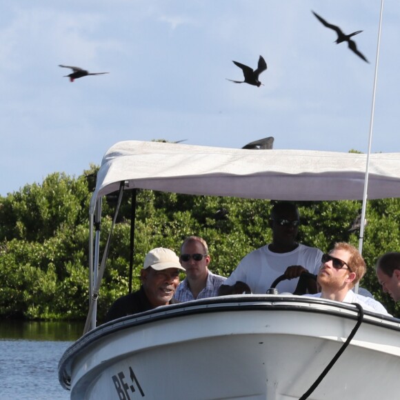 Le prince Harry visite les mangroves à La Barbade, pour voir les oiseaux frégatidés, à l'occasion de son voyage de 15 jours dans les Caraïbes. Le 22 novembre 2016  Prince Harry takes a boat tour through mangroves on the island of Barbuda to see one of the largest colonies of frigate birds in the word, as he continues his tour of the Caribbean.22/11/2016 - La Barbade