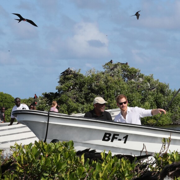 Le prince Harry visite les mangroves à La Barbade, pour voir les oiseaux frégatidés, à l'occasion de son voyage de 15 jours dans les Caraïbes. Le 22 novembre 2016  Prince Harry takes a boat tour through mangroves on the island of Barbuda to see one of the largest colonies of frigate birds in the word, as he continues his tour of the Caribbean.22/11/2016 - La Barbade