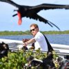 Le prince Harry visite une réserve d'oiseaux à Barbuda lors de son voyage officielle dans les Caraïbes le 22 novembre 2016.  Prince Harry visiting the Frigate Bird Sanctuary in Barbuda during his tour of the Caribbean. 22 November 2016.22/11/2016 - 