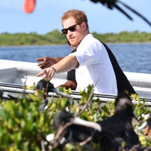 Le prince Harry visite une réserve d'oiseaux à Barbuda lors de son voyage officielle dans les Caraïbes le 22 novembre 2016.  Prince Harry visiting the Frigate Bird Sanctuary in Barbuda during his tour of the Caribbean. 22 November 2016.22/11/2016 - 