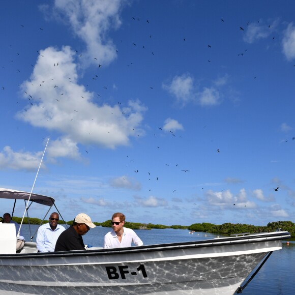 Le prince Harry visite une réserve d'oiseaux à Barbuda lors de son voyage officielle dans les Caraïbes le 22 novembre 2016.  Prince Harry visiting the Frigate Bird Sanctuary in Barbuda during his tour of the Caribbean. 22 November 2016.22/11/2016 - 