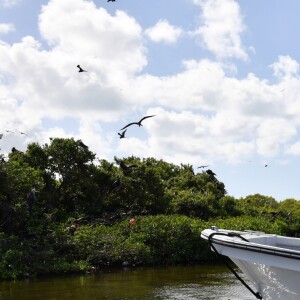 Le prince Harry visite une réserve d'oiseaux à Barbuda lors de son voyage officielle dans les Caraïbes le 22 novembre 2016.  Prince Harry visiting the Frigate Bird Sanctuary in Barbuda during his tour of the Caribbean. 22 November 2016.22/11/2016 - 