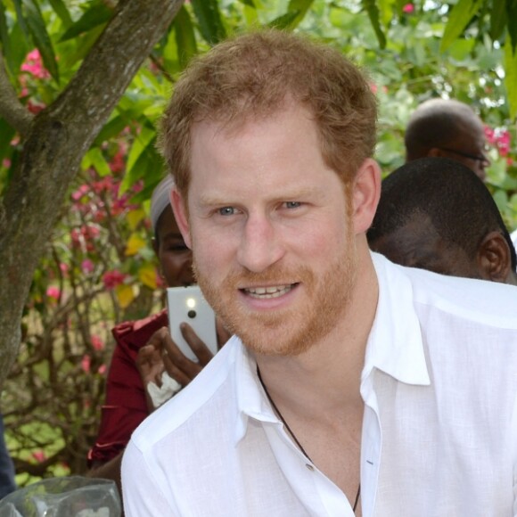 Le prince Harry visite l'école Sir McChesney George sur l'Ile de Barbuda lors de son voyage dans les Caraïbes le 22 novembre 2016.  Prince Harry visits the Sir McChesney George High School, on the island of Barbuda in the Caribbean, as he views how students manage and utilise the natural resources they have access to on an island state, as he continues his tour of the Caribbean.22/11/2016 - Barbuda