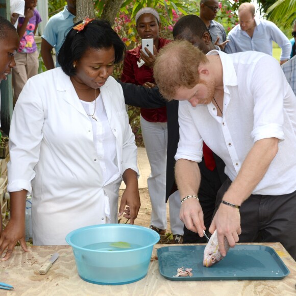 Le prince Harry visite l'école Sir McChesney George sur l'Ile de Barbuda lors de son voyage dans les Caraïbes le 22 novembre 2016.  Prince Harry visits the Sir McChesney George High School, on the island of Barbuda in the Caribbean, as he views how students manage and utilise the natural resources they have access to on an island state, as he continues his tour of the Caribbean.22/11/2016 - Barbuda