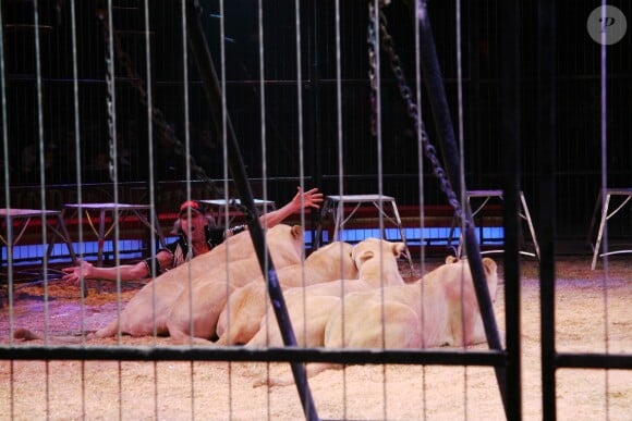 Frédéric Edelstein (directeur du Cirque Pinder) avec ses lions lors du 9ème Gala Handicirque au cirque Pinder, sur la pelouse de Reuilly à Paris, France, le jeudi 12 janvier 2017. © JLPPA/Bestimage