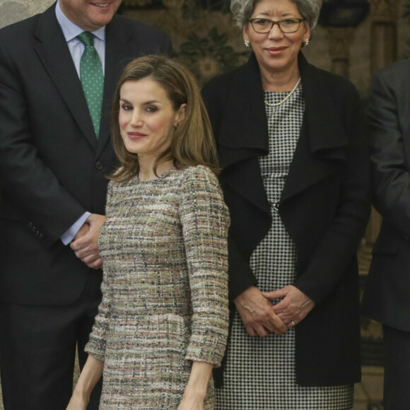 Le roi Felipe VI et la reine Letizia d'Espagne (photo), en présence du roi Juan Carlos Ier et de la reine Sofia, présidaient le 23 janvier 2017 au palais du Pardo à Madrid à la cérémonie de remise des Prix nationaux du sport pour l'année 2015.